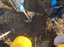 piantumazione alberi Oasi Parades Parabiago