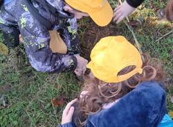 piantumazione alberi Oasi Parades Parabiago