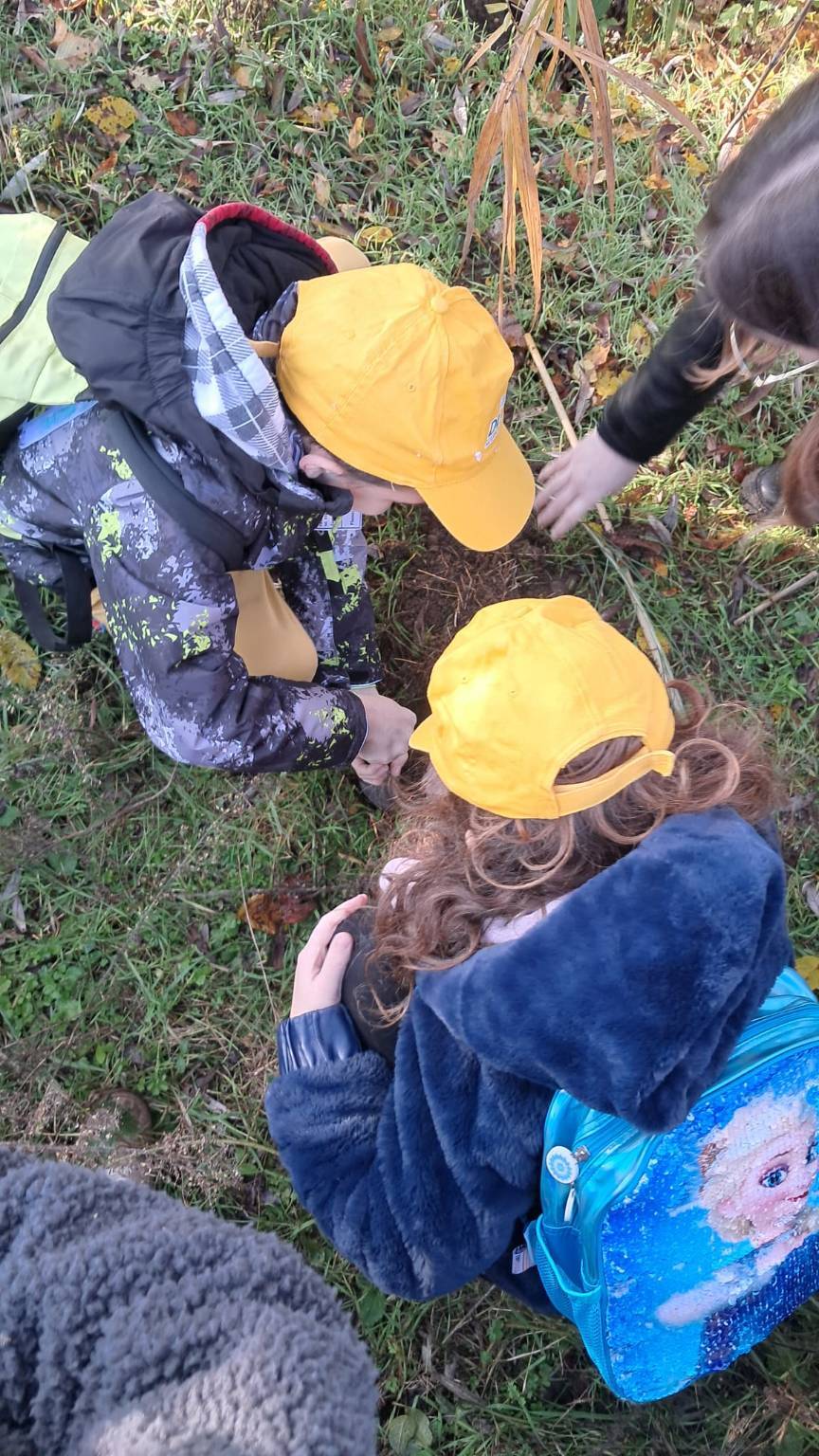 piantumazione alberi Oasi Parades Parabiago