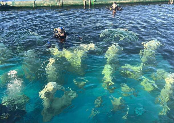 presepe sommerso laveno