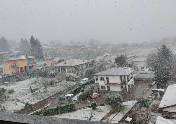 Primi fiocchi di neve (21/11/2025)