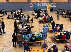 Saronno in gioco varie