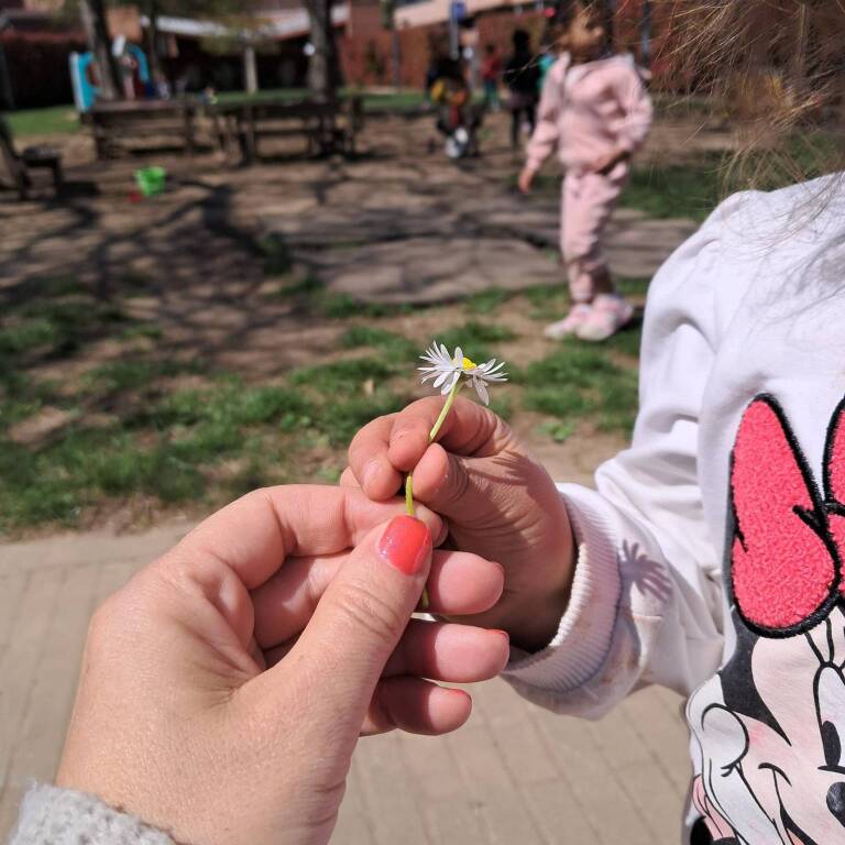 scuola dell'infanzia lovera alla brunella