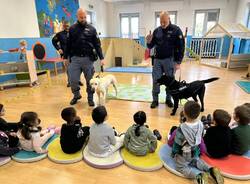 scuola infanzia somma lombardo