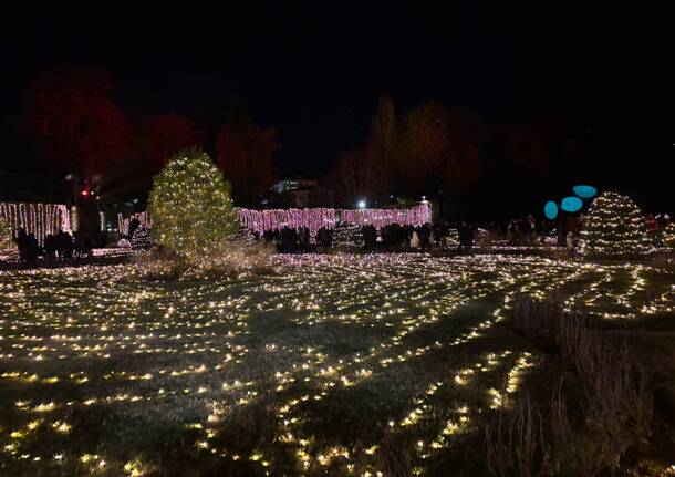 Si accendono le luci di Natale ai giardini estensi