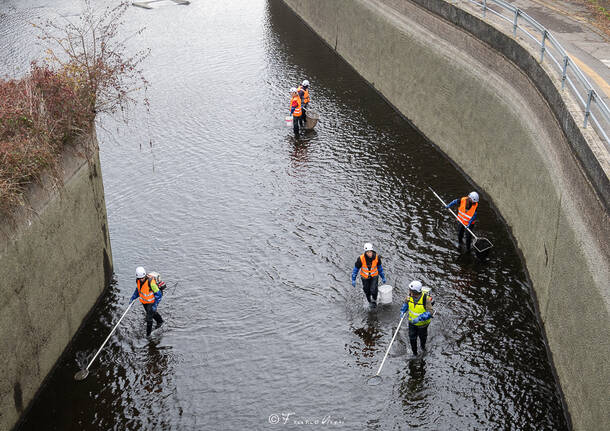  svuotamento canali diga Panperduto Somma Lombardo