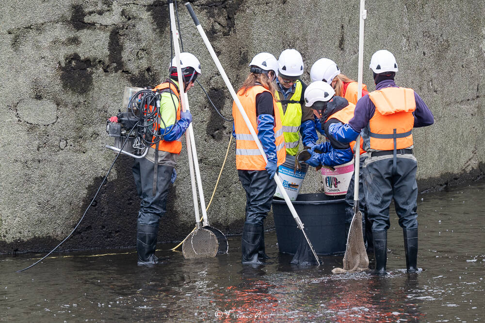  svuotamento canali diga Panperduto Somma Lombardo