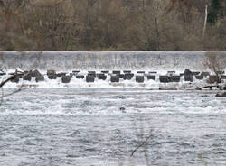  svuotamento canali diga Panperduto Somma Lombardo