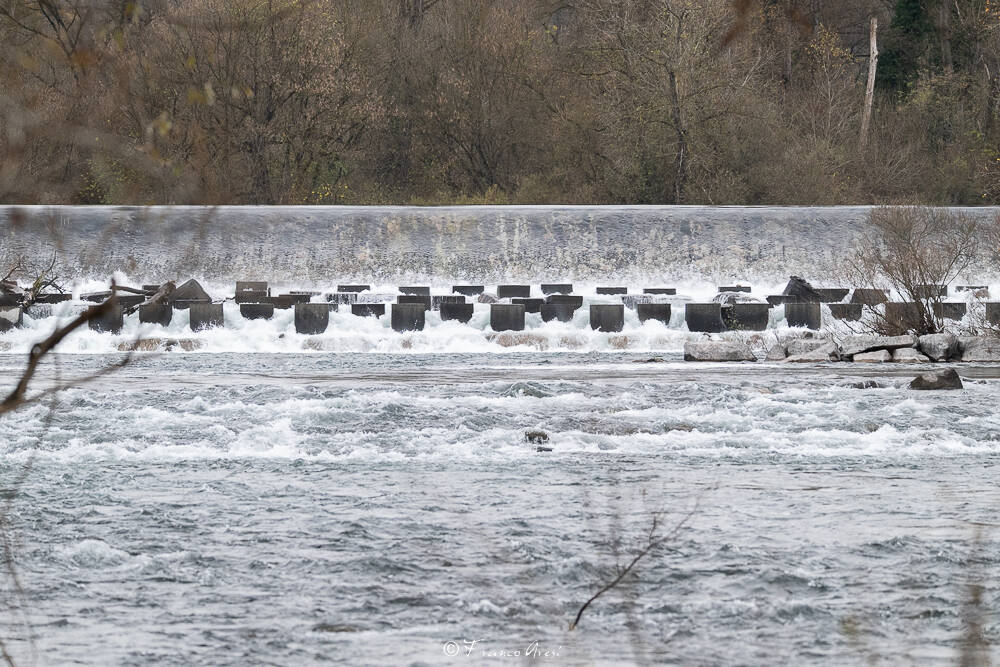  svuotamento canali diga Panperduto Somma Lombardo