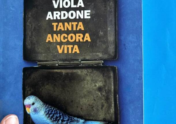 Cosa leggono i varesini quando piove: decine di suggerimenti dai lettori di VareseNews