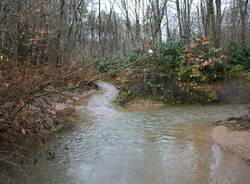 torrente bozzente rescaldina