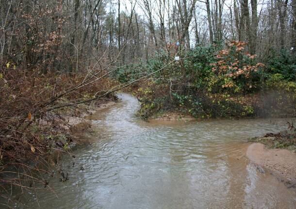 torrente bozzente rescaldina