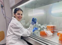 università insubria