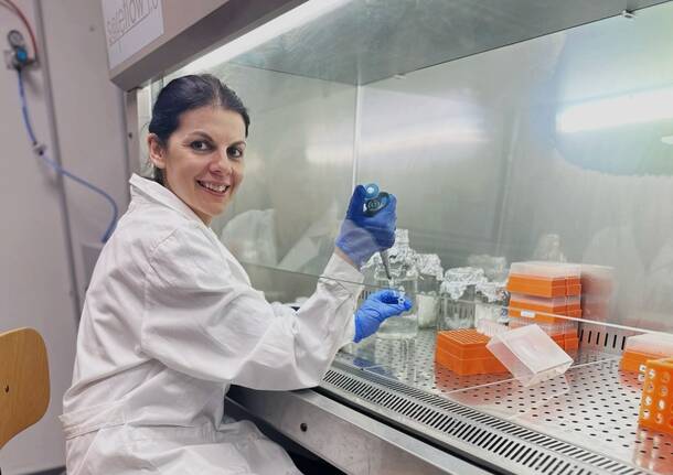 università insubria