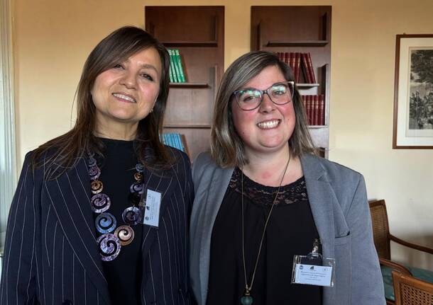 università insubria