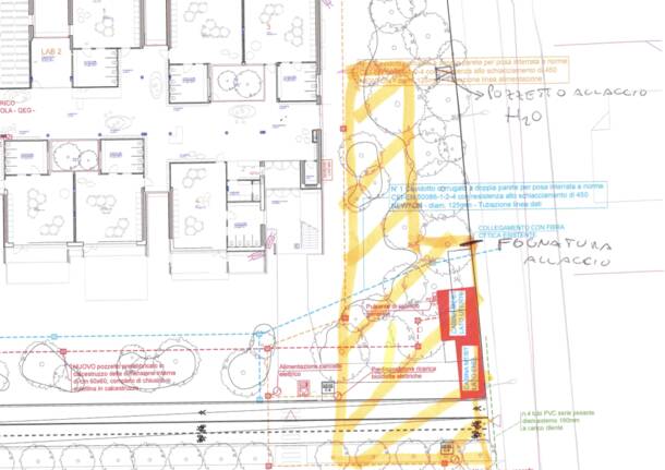 via curtatone alberi