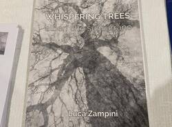 ""Whispering Trees”, inaugurata al Lyceum di Varese la mostra fotografica