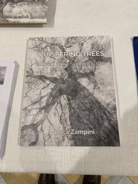 ""Whispering Trees”, inaugurata al Lyceum di Varese la mostra fotografica