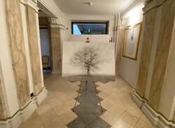 ""Whispering Trees”, inaugurata al Lyceum di Varese la mostra fotografica