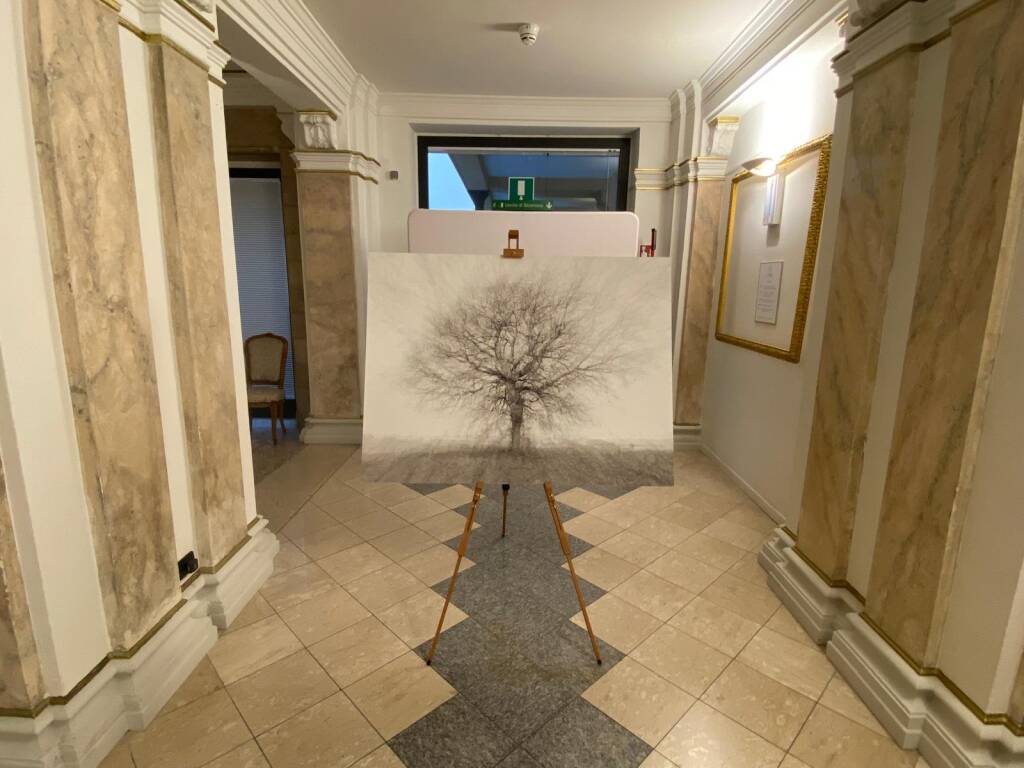 ""Whispering Trees”, inaugurata al Lyceum di Varese la mostra fotografica