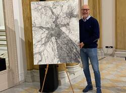 ""Whispering Trees”, inaugurata al Lyceum di Varese la mostra fotografica