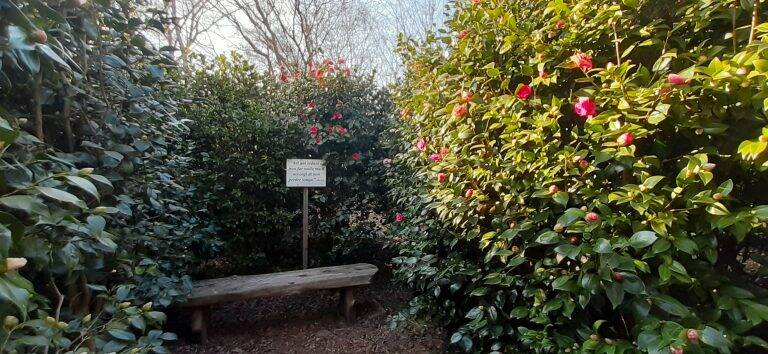 A Natale regala Controvento Trekking