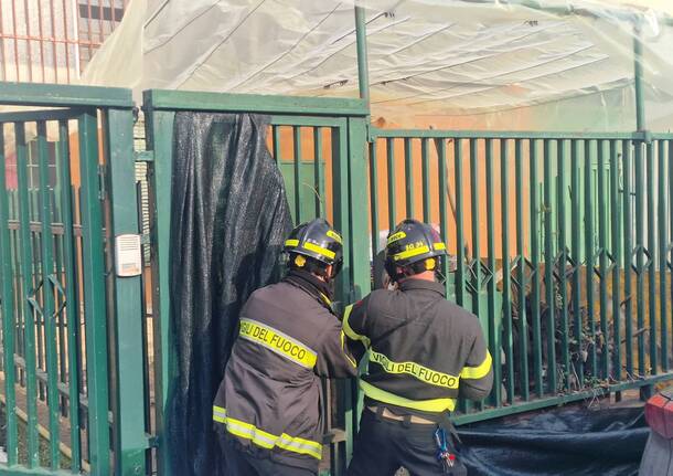 Abbandonati tra deiezioni e sporcizia, 5 cuccioli salvati nel milanese da Guardie Zoofile e OIPA