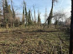 Al via la pulizia del bosco dell'area cinofili a Nerviano