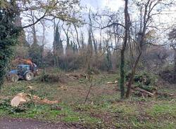 Al via la pulizia del bosco dell'area cinofili a Nerviano