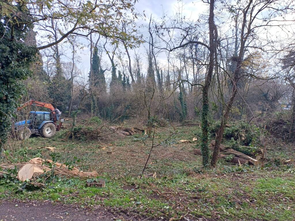 Al via la pulizia del bosco dell'area cinofili a Nerviano