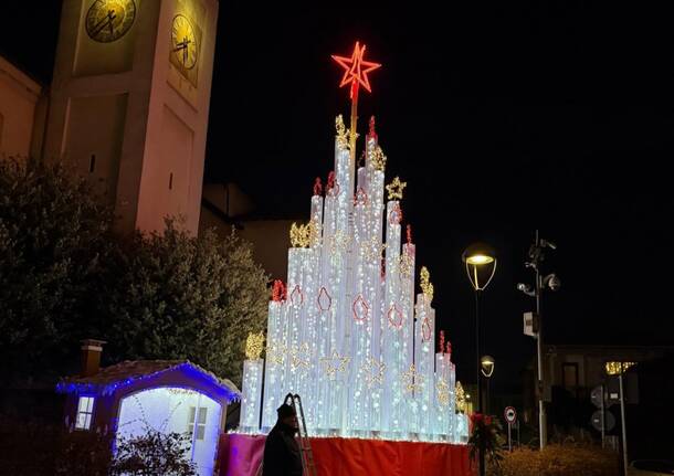 albero natale travedona