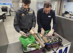 alimenti sequestrati linate