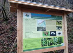 Alle Cave di Molera nasce il sentiero didattico: un percorso tra geologia, storia e natura