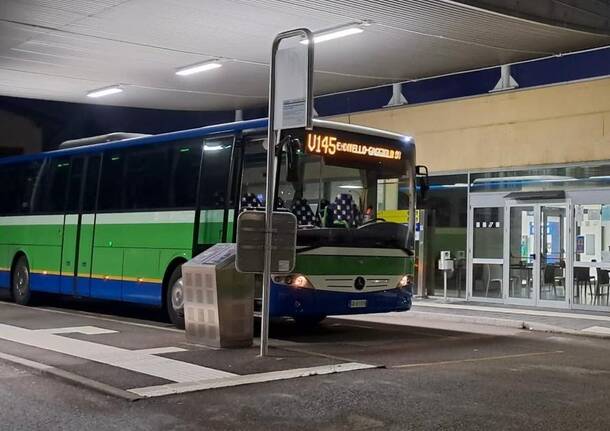 autolinee varesine gaggiolo