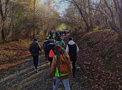 "Cammina Foreste Urbane": il percorso di Legambiente Castronno nel Parco Rto