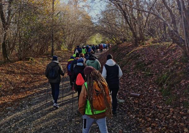 "Cammina Foreste Urbane": il percorso di Legambiente Castronno nel Parco Rto