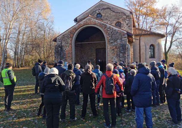 “Cammina Foreste Urbane”: il percorso di Legambiente Castronno nel Parco Rto