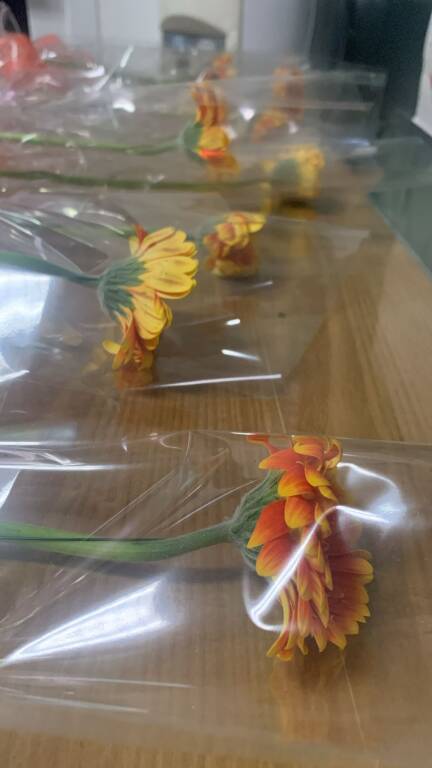 La prima “diffusa\" a Orino: risotto alla milanese servito in biblioteca