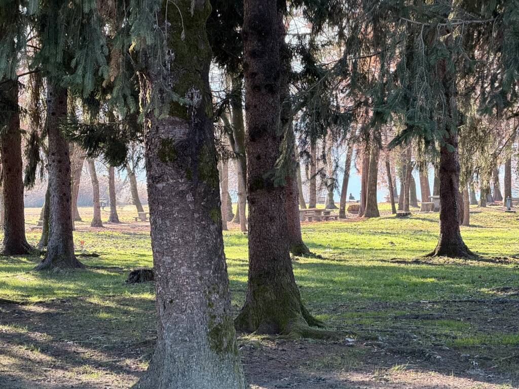 Parco Zanzi Schiranna