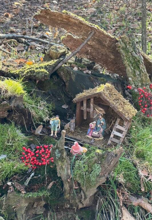 I presepi nel bosco nella Valle del Boia