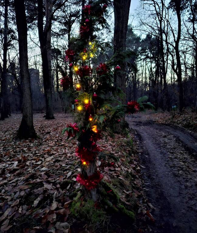 I presepi nel bosco nella Valle del Boia