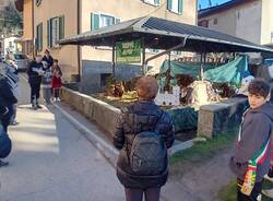 Alpini e ragazzi insieme per realizzare il presepe del paese