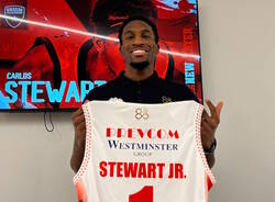 carlos stewart basket