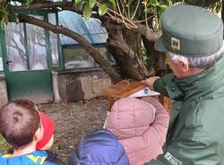 Casetta per gli uccelli scuola primaria comerio