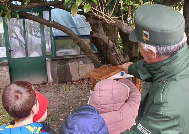 Casetta per gli uccelli scuola primaria comerio