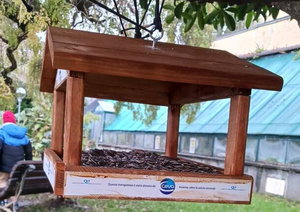 Casetta per gli uccelli scuola primaria comerio