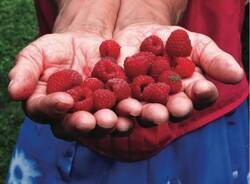 cooperativa insieme Bratunac