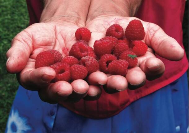 cooperativa insieme Bratunac