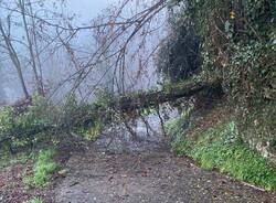 costa Lonate Ceppino custieu