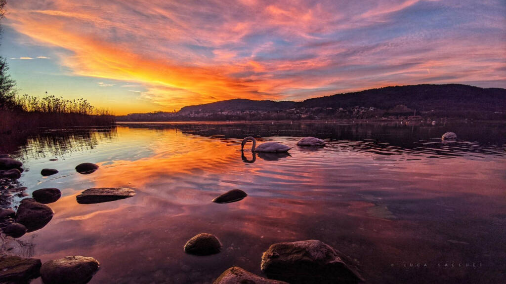 foto del giorno 16 dicembre 2025 lago corgeno vergiate | luca sacchet
